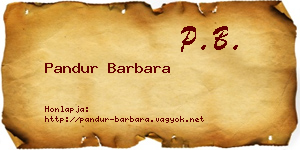 Pandur Barbara névjegykártya